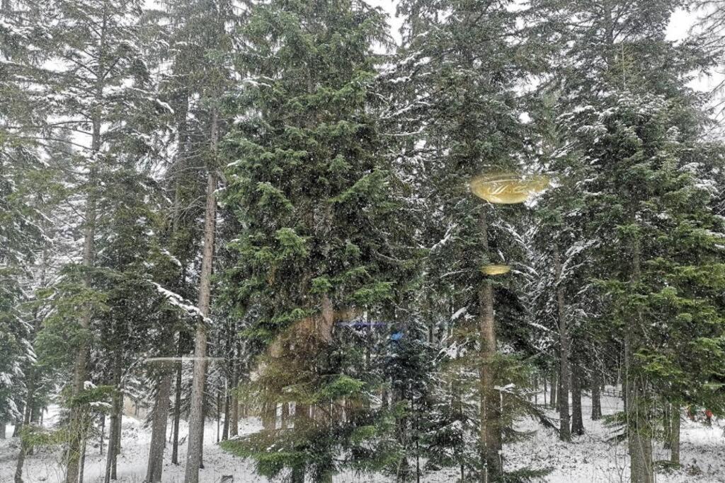 Studio 1 Iceberg Borovets Dış mekan fotoğraf